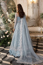 Icy Blue Beauty: Embroidered Organza Ensemble