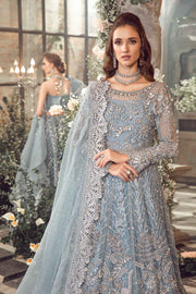 Icy Blue Beauty: Embroidered Organza Ensemble