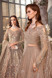 Elegant Grey Embroidered Organza and Jamawar Ensemble